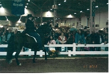 In the demo ring at the Royal