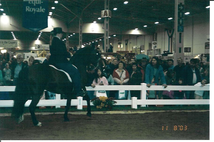 In the demo ring at the Royal