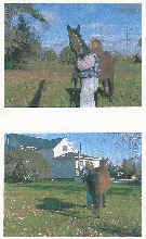 face & butt