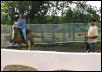 Ofrenda under saddle