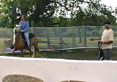 Ofrenda under saddle