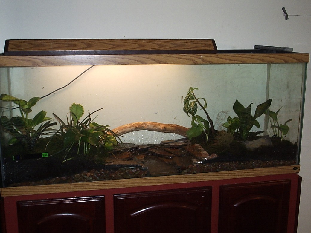 dart enclosure