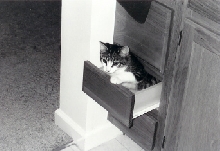 Mario in the Drawer
