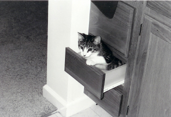 Mario in the Drawer