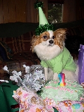PollyAnna's Birthday