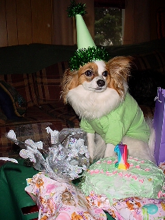PollyAnna's Birthday