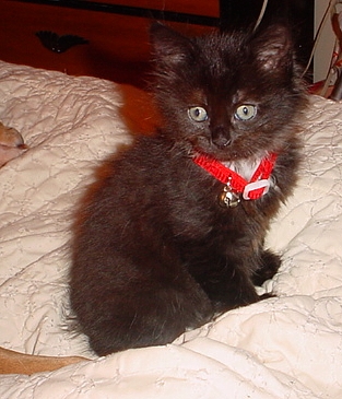 Ain't I cute?