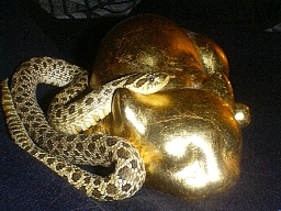 Lucas~W.Hognose