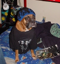 Hey, my Homey!