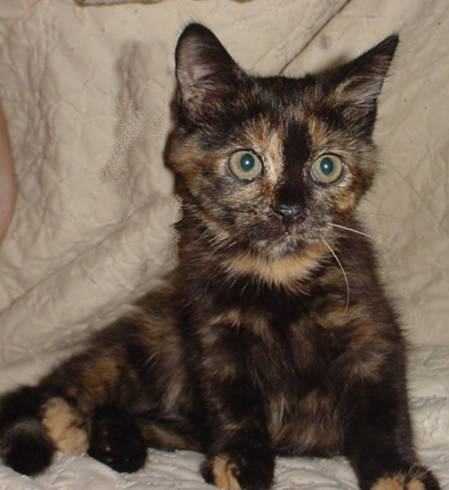 And yet another rescue....