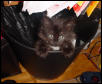 Peek-a-Boo!