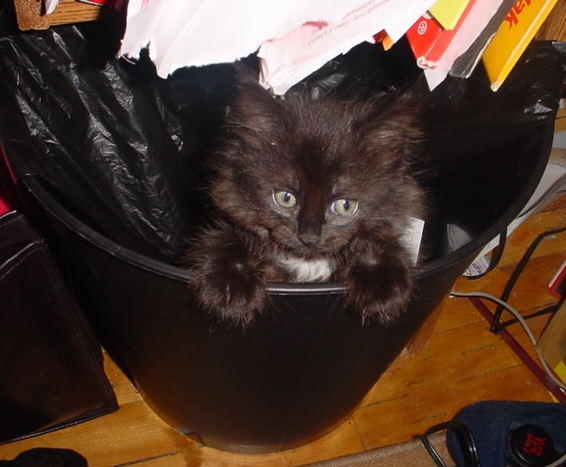 Peek-a-Boo!