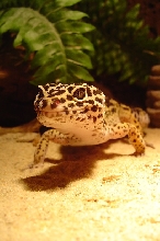 close-up