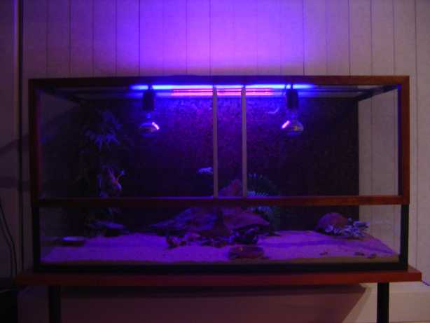 Tank with Black Light