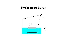 Incubator