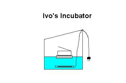 Incubator