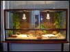 This is my tank!