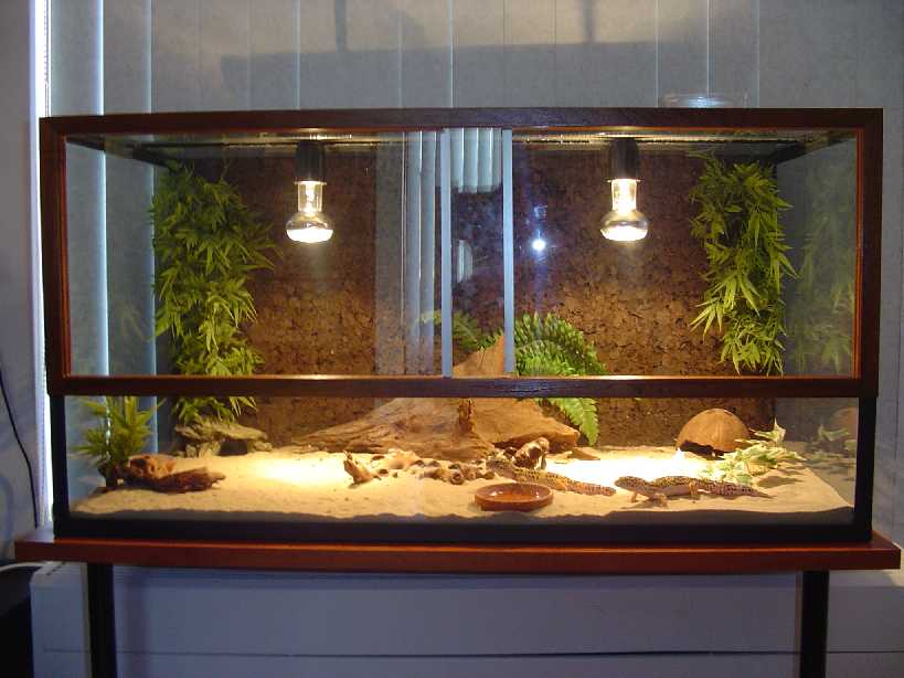 This is my tank!