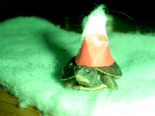 Santa, I would like some crickets, mealworms, some juice slugs.....