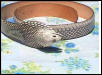 Snake Belt