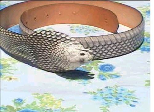 Snake Belt