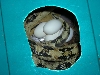 Suboc with eggs box