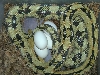 Suboc with eggs