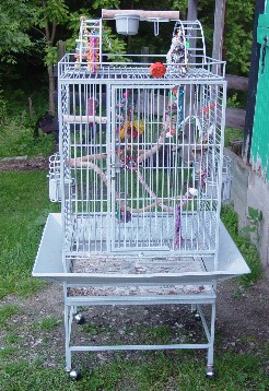 Cage