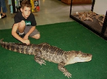Better Michael and Nessie