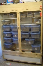 My New Incubator