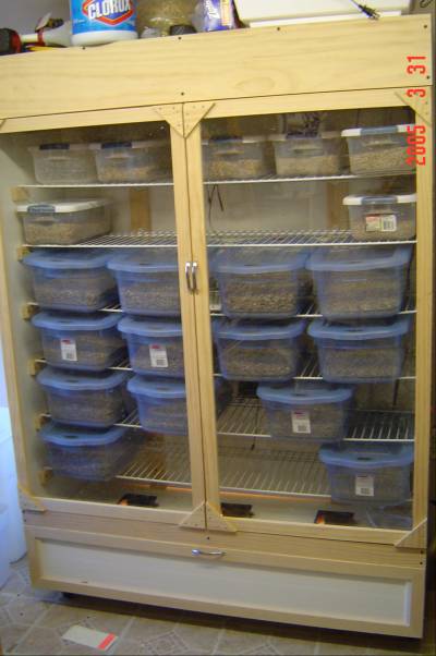 My New Incubator