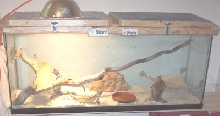 Wiz & Priz's New Home