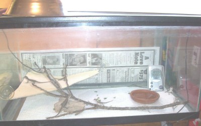 Baby Setup