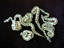 12 Egg Clutch , 7 Pastels  6/17/05