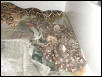 7/27/04 BCI litter