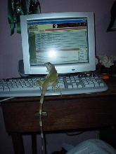 andy helping mom type
