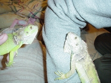 Vern and Andy April 2003
