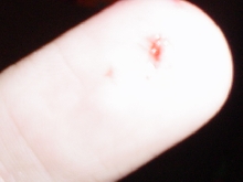 Andys first TRUE bite
