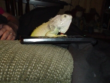 Andy Watching Tv