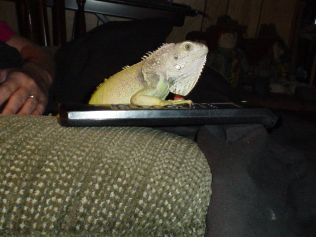 Andy Watching Tv