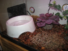 Detail of my CRB Setup