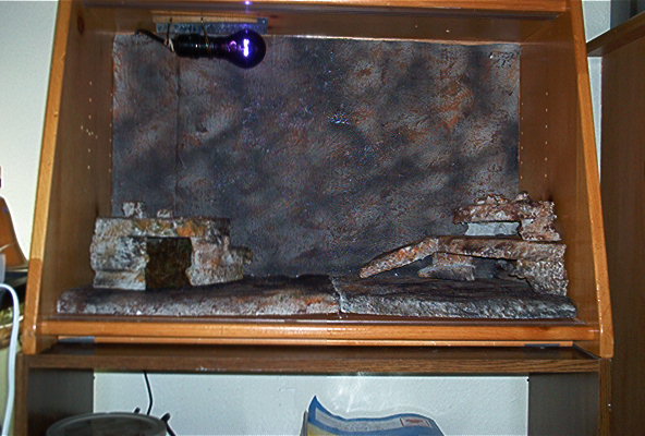Mrs Puffs new enclosure