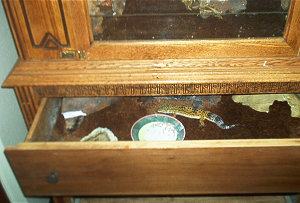 hiding drawer