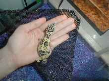 getting bigger huh?