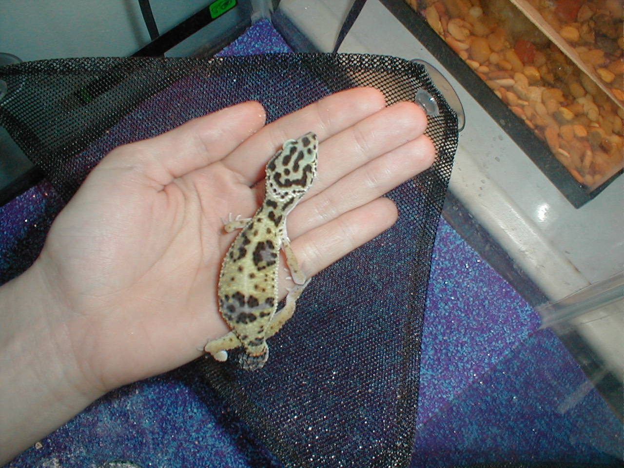 getting bigger huh?