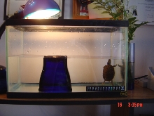 Recovery Tank