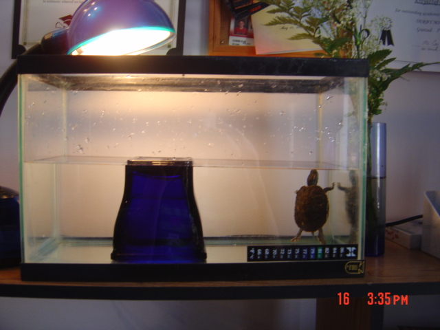 Recovery Tank