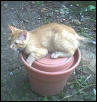 Do I look like a plant?