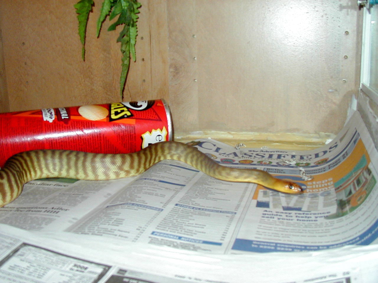 woma1