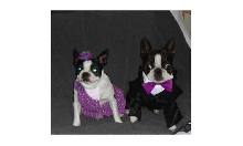 Jack and Annie's formal wear